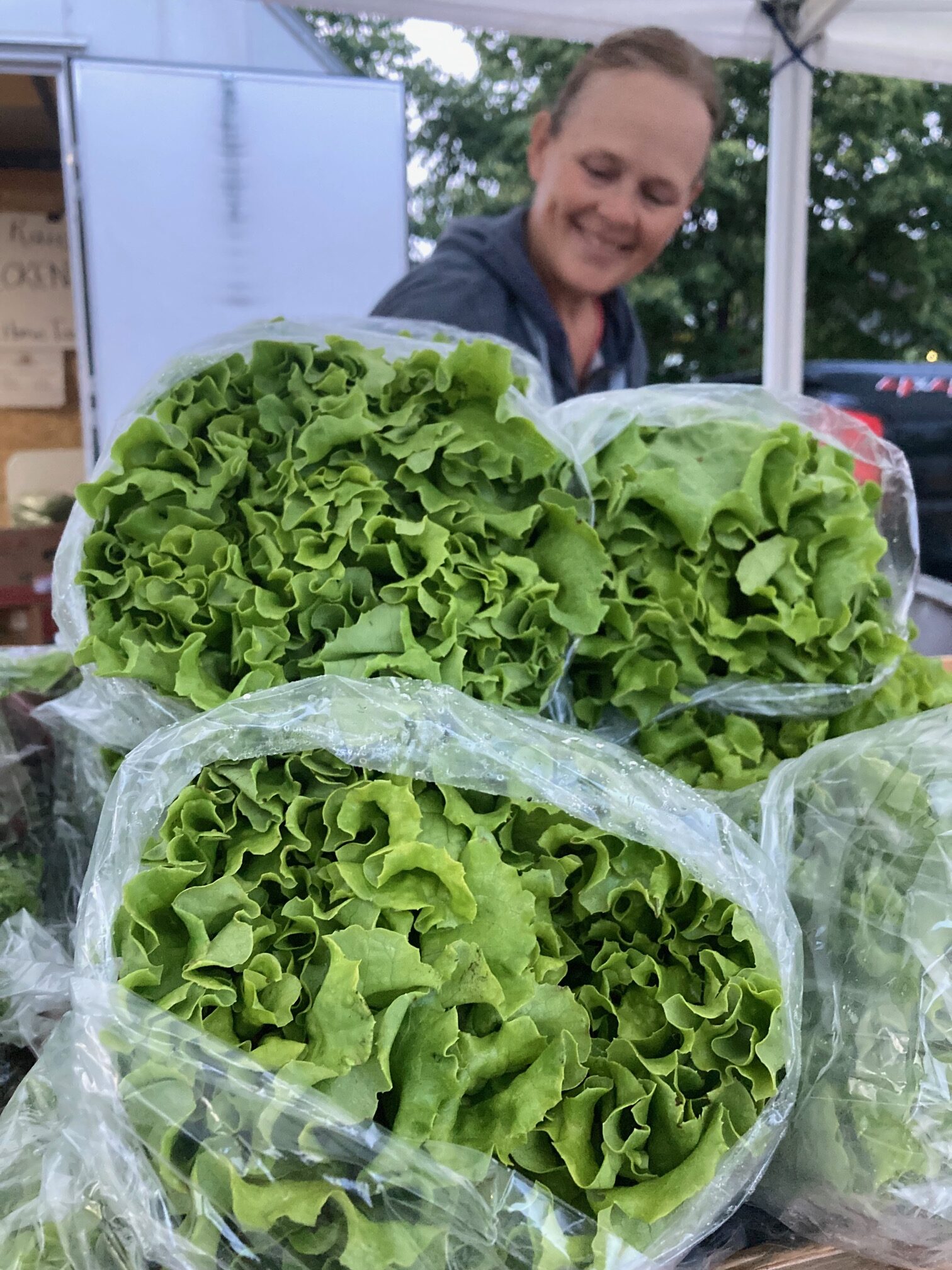 Farmer Janna fills the lettuce display at the Sioux City Farmer's Market
